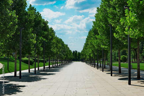 Park path. view of the alley of trees. blue sky and clouds over the road, trail, path through the park. Krasnodar, Russia