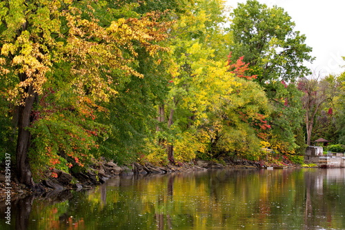 Brilliant autumn colored shoreline of a slow flowing river.