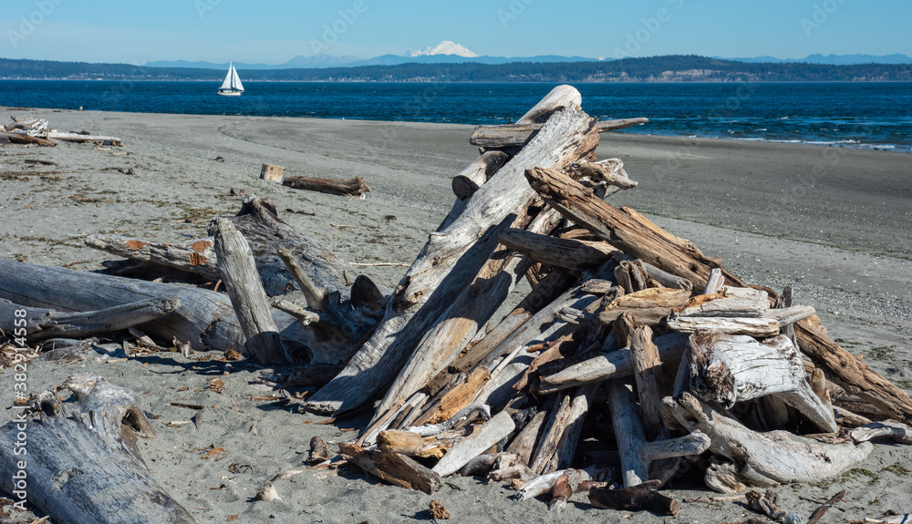 Point No Point County Park Beach-driftwood
Point No Point County Park Beach-driftwood