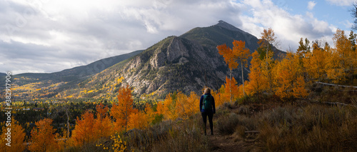 Woman Hiking on Trail Looking Up at Yellow Aspen Trees In Colorado During Fall Autumn Season on Bright Sunny Day with Beautiful Blue Sky Clouds with Mountain Range 