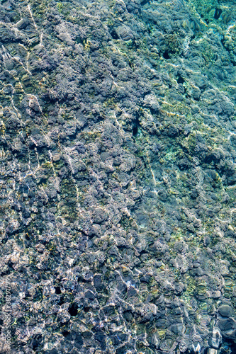 Aegean sea with algae top view, blurred background, natural, vertical