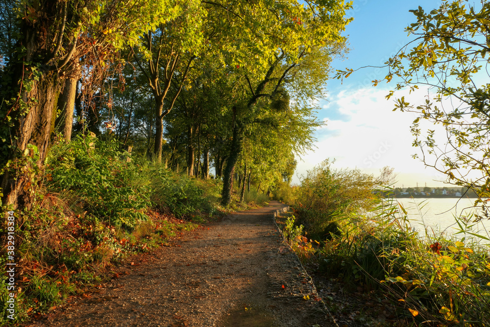 Naklejka premium Rural landscape in summer for hikker. Country road by a lake. 