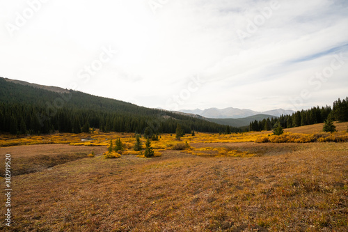 Mountain Lake during Fall Autumn Season surrounded by Yellow Changing Leaves Shrubs and Forest in Alpine Pass with Mountain Range and Clouds