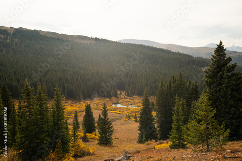 Mountain Lake during Fall Autumn Season surrounded by Yellow Changing Leaves Shrubs and Forest in Alpine Pass with Mountain Range and Clouds