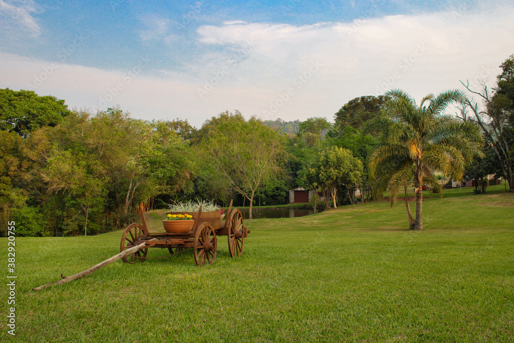 Fototapeta premium Cart In The Field