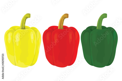 sweet pepper on white background vector design