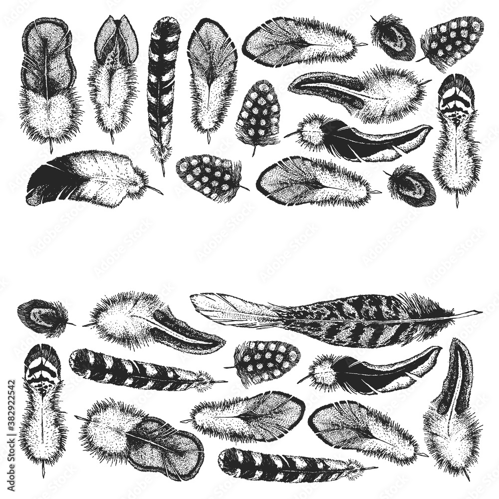 Fototapeta premium Set of ethnic feathers. Decoration design. Birds feathers, boho chic style. Tribal ornament pattern.
