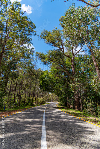 Araluen bush land in Perth, Western Australia © ricjacynophoto.com