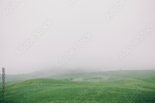 mist in the field 