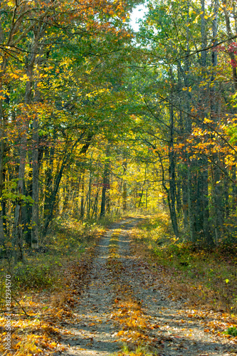 Country Road in early fall