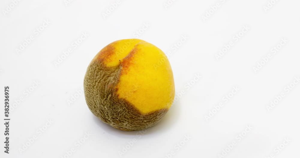 Time lapse of peach rotting on a white background, the process of decomposition and decay, shooting period 10 days Time lapse of peach rotting on a white background, the process of decomposition and decay, shooting period 10 days
