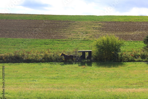 Fototapeta Naklejka Na Ścianę i Meble -  Amish buggy on a rural road