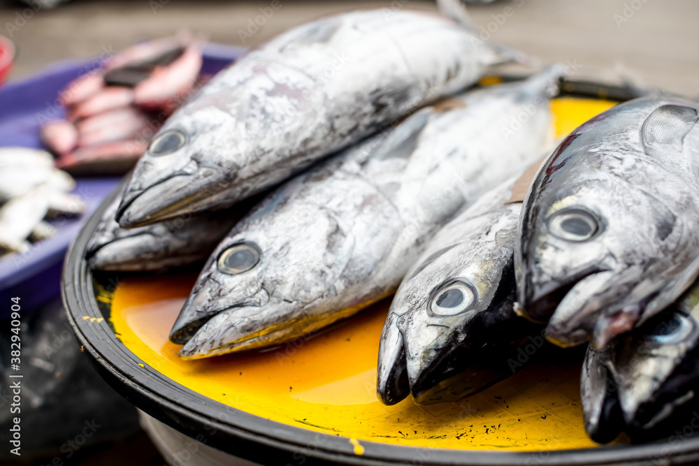 Frigate Tuna of locally known as Tulingan for sale at a sidewalk stall