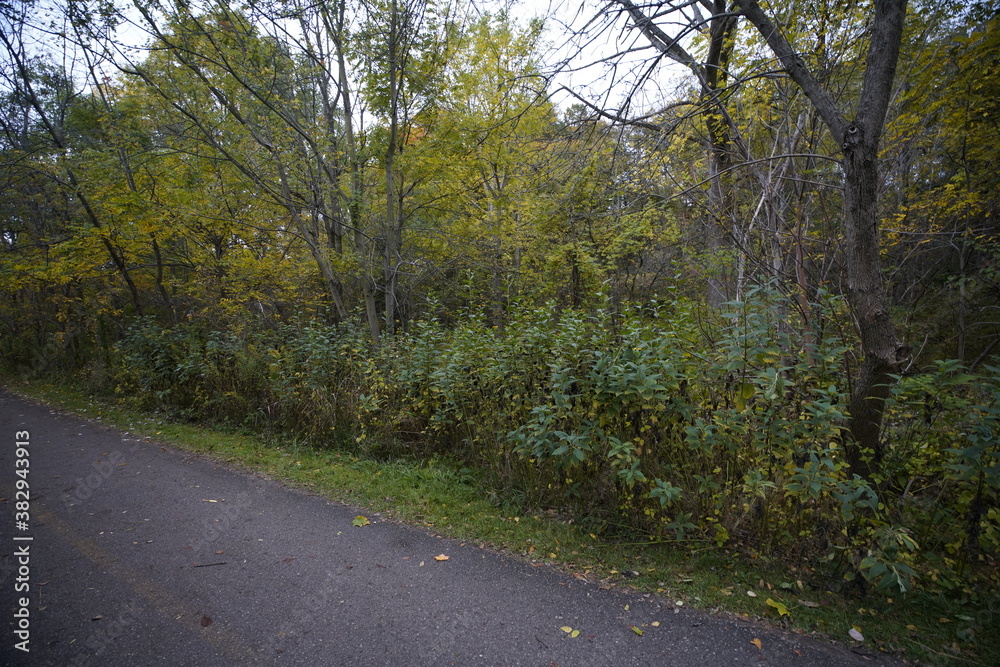 Beautiful Scenic Autumn Nature Landscape with fall colors and orange leaves on trees making for beautiful views Beautiful Scenic Autumn Nature Landscape with fall colors and orange leaves on trees making for beautiful views