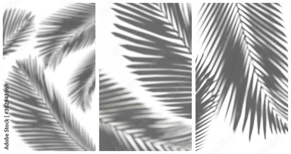 Obraz premium Palm leafes shadows mini Set