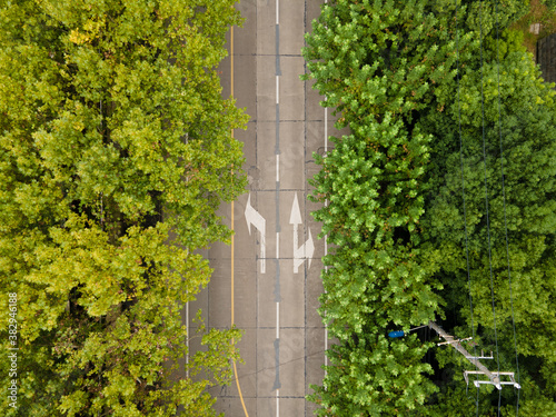 Drone aerial view of road with forest and trees along the road with few cars and passengers. The city street with road marks surround by green plants. Calm chill cozy B roll footage Shanghai China