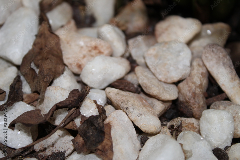 Pedras e Folhas Pedras e Folhas