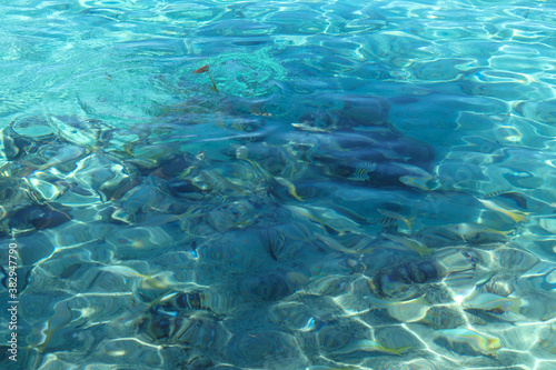 Azure water of the Caribbean sea. Cuba. © Zenebio