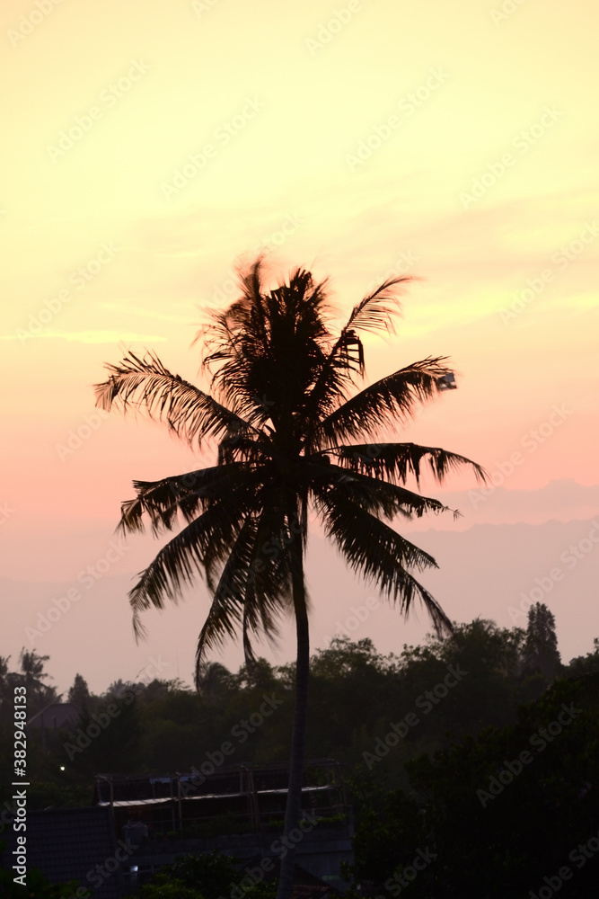 Obraz premium Beautiful sunset with the silhouette of coconut trees