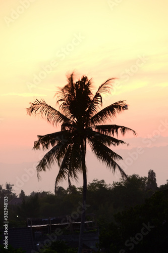 Beautiful sunset with the silhouette of coconut trees