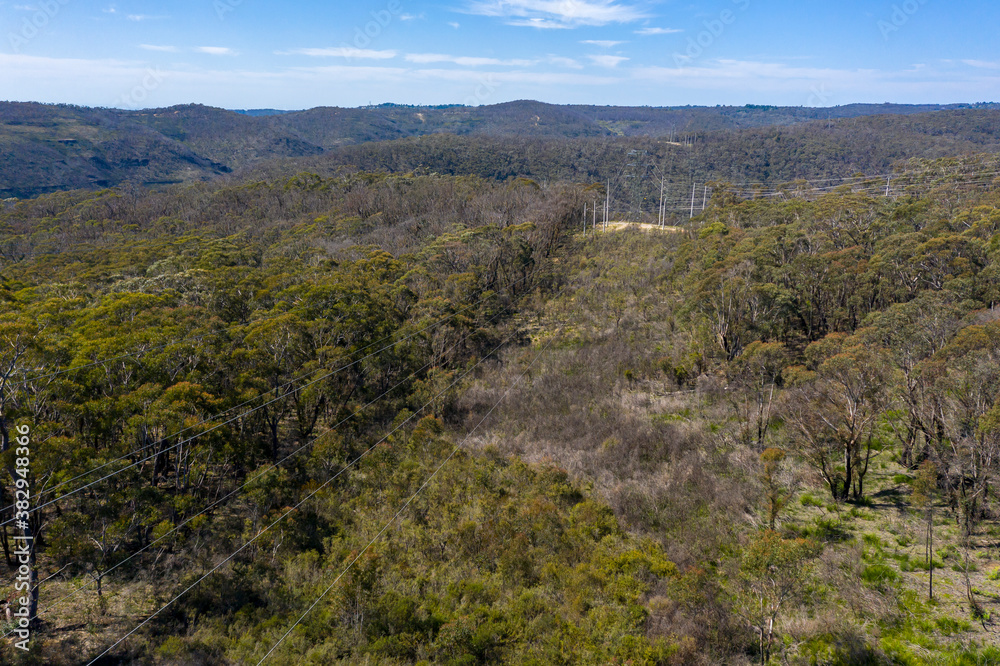 Aerial view of power lines running through a forest in regional Australia