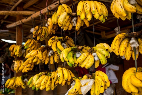Lakatan bananas hanged for display at a stall of a local market in the Philippines. photo