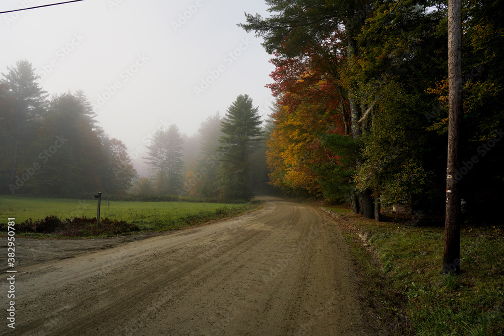 Fototapeta premium Fall in Vermont