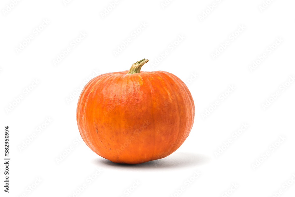Ripe pumpkin with a dry tail isolated on a white background. Ripe pumpkin with a dry tail isolated on a white background.