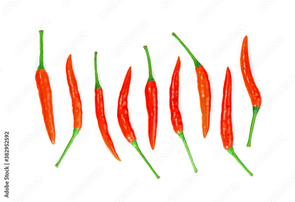red chili pepper isolated on white background red chili pepper isolated on white background