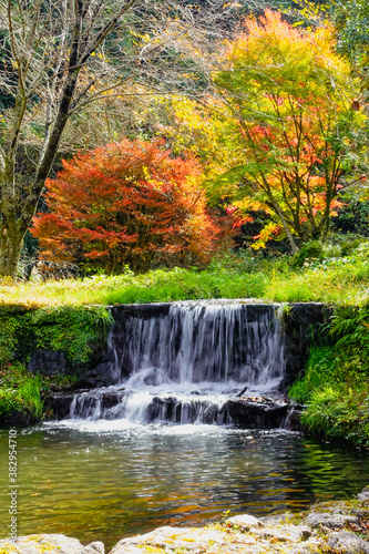 湯平温泉（大分県由布市）、花合野川の滝の紅葉