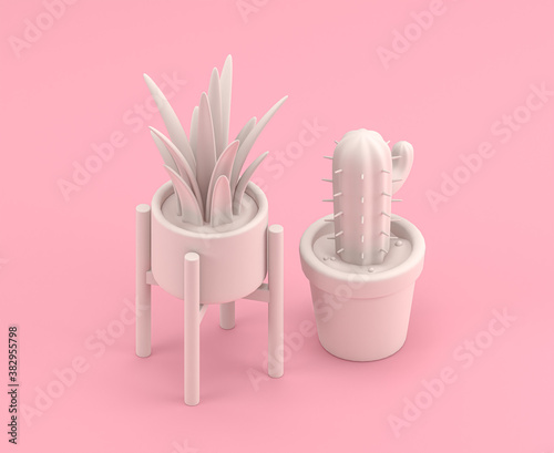 Isometric  house plant and cactus  3d Icon in flat color pink room single color white 3d rendering