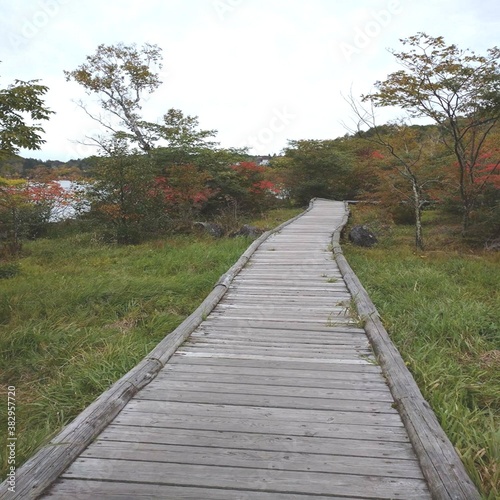 Fototapeta Naklejka Na Ścianę i Meble -  長野県の観光地、白樺湖の紅葉の風景