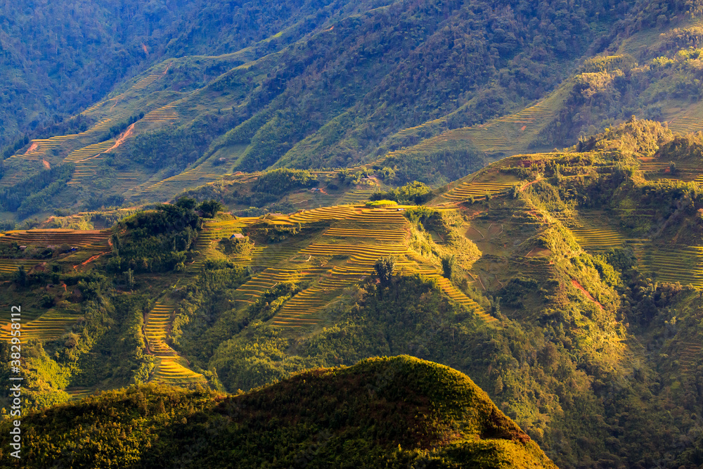 Rice fields on terraced of Mu Cang Chai, YenBai, Vietnam. Rice fields Rice fields on terraced of Mu Cang Chai, YenBai, Vietnam. Rice fields