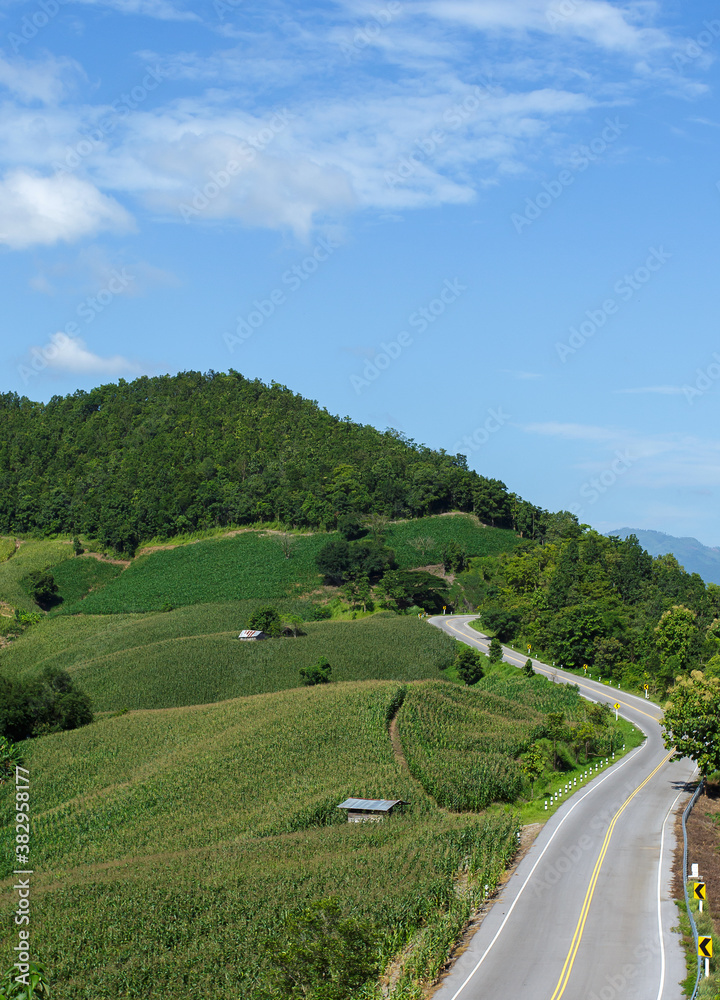 countryside road passing through the green forrest and mountain countryside road passing through the green forrest and mountain