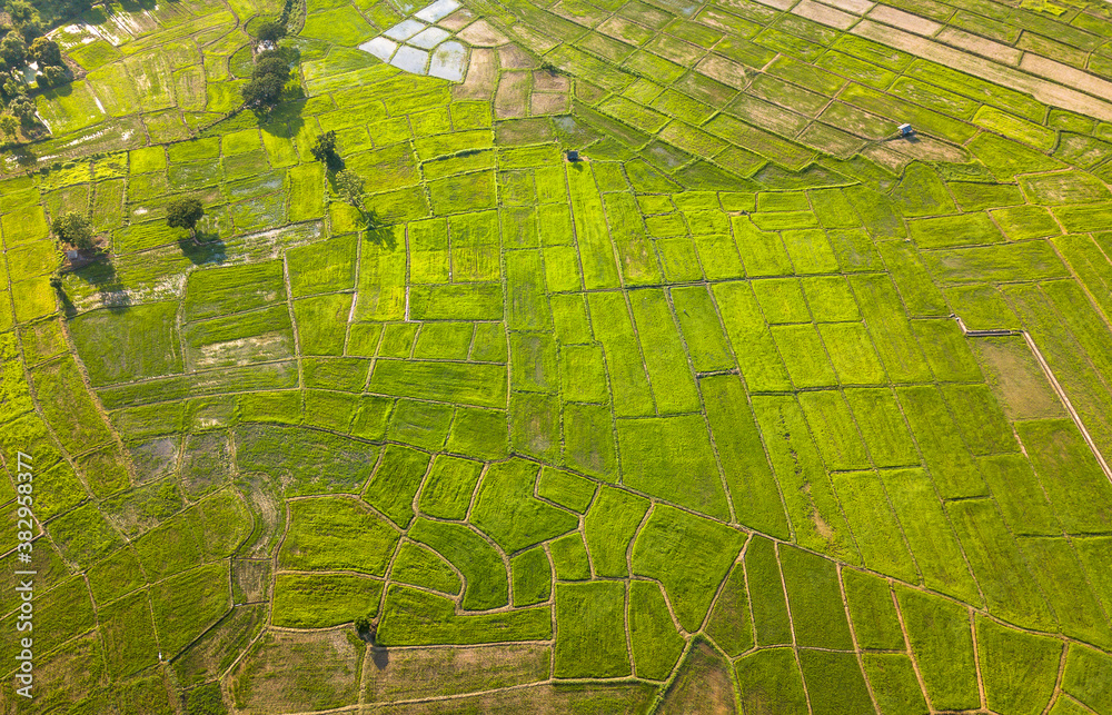 Fototapeta premium Top view Terraced rice field Northern Thailand