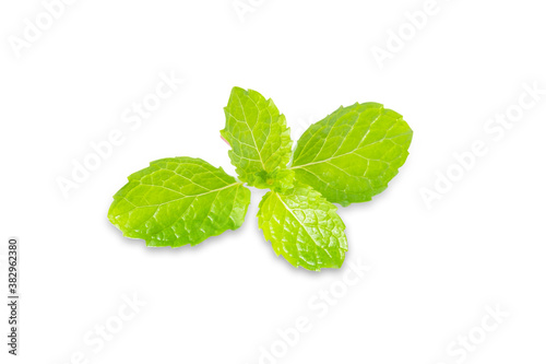 Spearmint in isolated with clipping path.