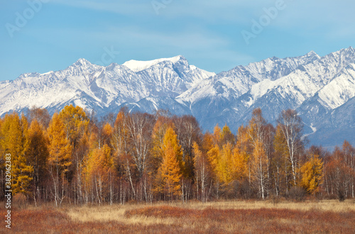 A beautiful autumn landscape with a yellowed forest against the background of snow-capped mountain peaks on a sunny October day. Change of seasons, calendar. Natural background. Autumn travel