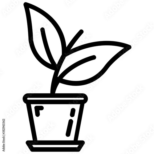 Houseplant 