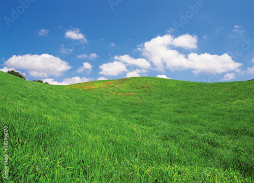 billowing clouds and grassland