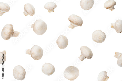 Champignon mushroom isolated on white background.