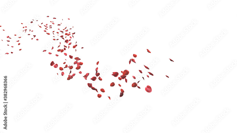 Red rose petals floating in curve flow path on white background with Clipping Path, 3D Illustration. Red rose petals floating in curve flow path on white background with Clipping Path, 3D Illustration.