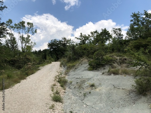 Istrian landscape and vegetation around the Sopot waterfall, Pican - Istria, Croatia - Istarski krajolik i vegetacija u okolici slapa Sopot, Pićan - Istra, Hrvatska photo