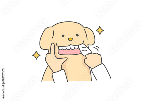 布ガーゼで歯磨きをするゴールデンレトリバー犬