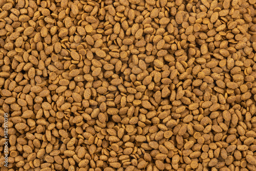 Food for animals background. Dry cat and dog food texture. Pet meal background close up
