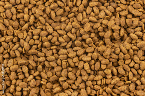 Food for animals background. Dry cat and dog food texture. Pet meal background close up