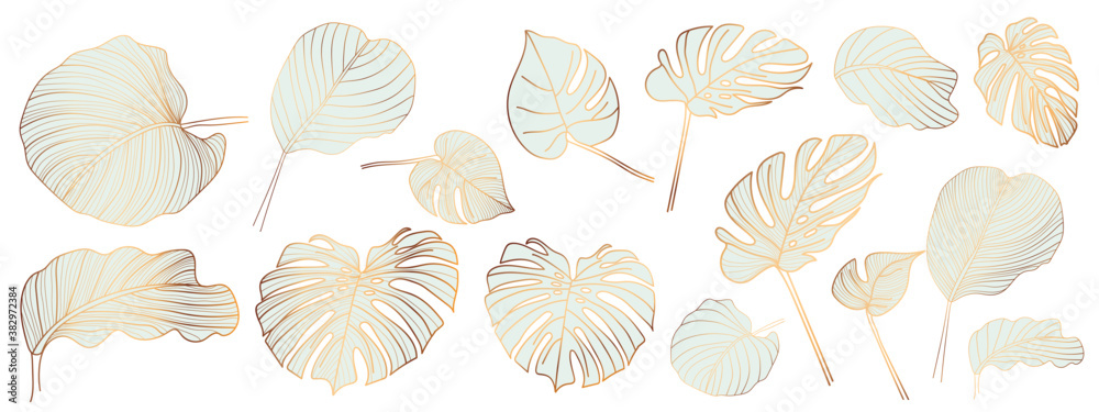 Gold and luxury tropical leaves vector. Abstract exotic plan, tropical leaf palm,Monstera leaf vector design elements on the white background. Gold and luxury tropical leaves vector. Abstract exotic plan, tropical leaf palm,Monstera leaf vector design elements on the white background.