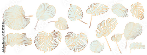 Gold and luxury tropical leaves vector. Abstract exotic plan, tropical leaf palm,Monstera leaf vector design elements on the white background.