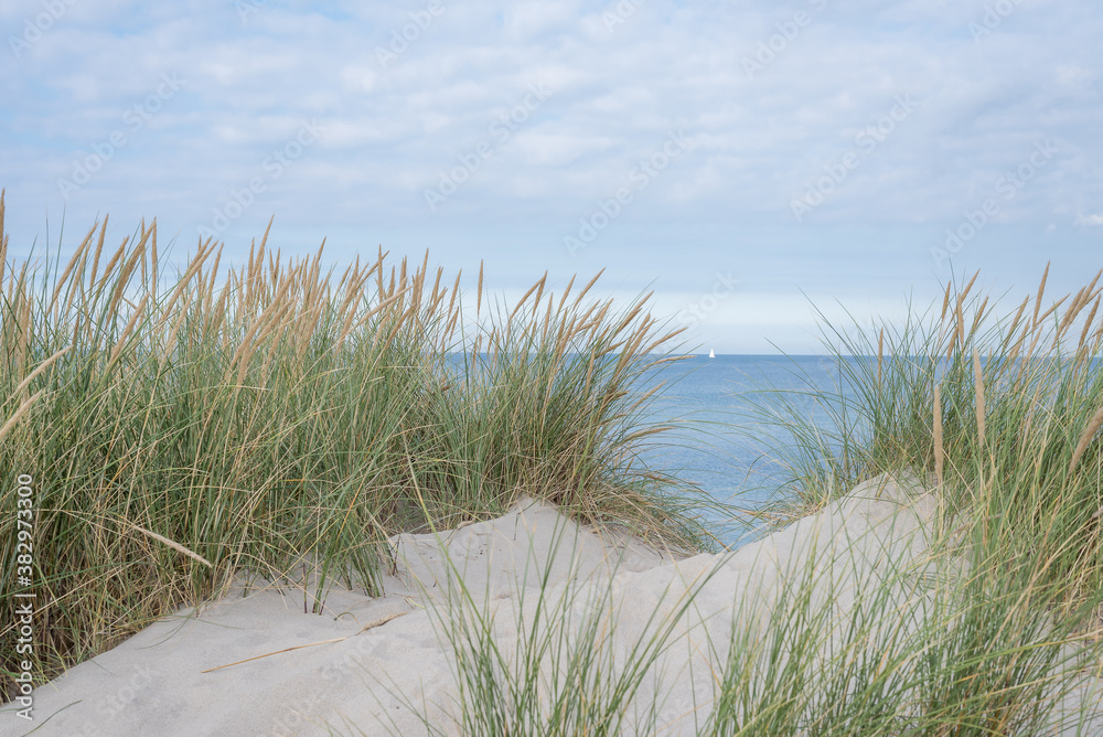 dunes with swaying ryegrass and a sailboat far away at the horizon