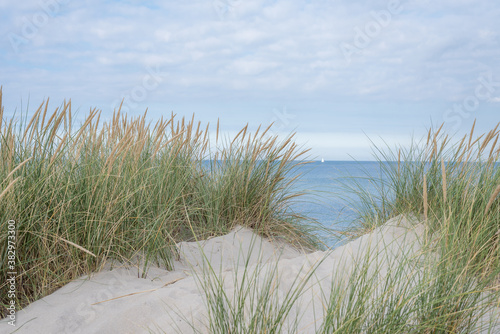 Obraz na płótnie dunes with swaying ryegrass and a sailboat far away at the horizon w salonie