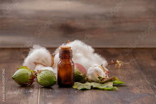 Cotton oil, white cottons and cotton bolls in a bottle on a wooden background photo